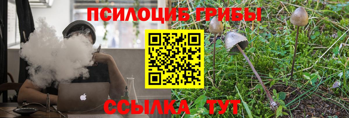 Псилоцибиновые грибы GOLDEN TEACHER Новоалександровск